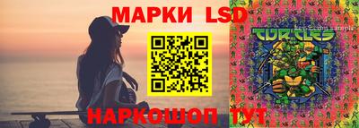 ECSTASY Новозыбков
